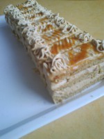 /album/rezy/rez6-jpg1/